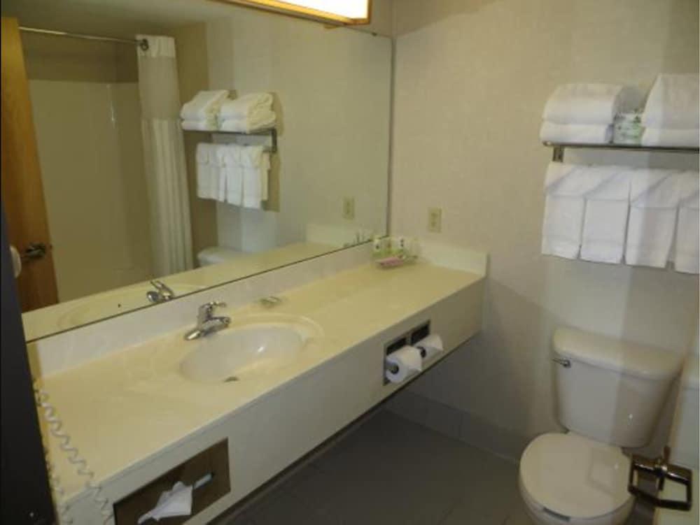 Country Inn & Suites By Radisson, Lansing, Mi מראה חיצוני תמונה